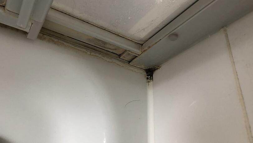 Schimmel- und Kalkablagerungen in der Wohnung. Schimmel- und Kalkablagerungen in der Wohnung.