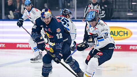Geht es f&uuml;r M&uuml;nchen und Ingolstadt wieder in die Playoffs - und dann vielleicht erneut gegeneinander? (Archivbild)