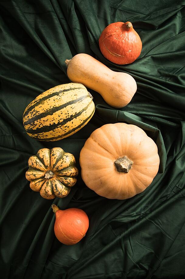 Kürbisse eignen sich nicht nur wunderbar als Dekoration für Halloween; sie gehören auch zu den Lebensmitteln, die gut für Leber und Darm sind. Kürbisse eignen sich nicht nur wunderbar als Dekoration für Halloween; sie gehören auch zu den Lebensmitteln, die gut für Leber und Darm sind.