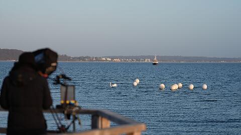 Das Tier ist an der Ostseek&uuml;ste vor Timmendorfer Strand nicht mehr zu sehen.
