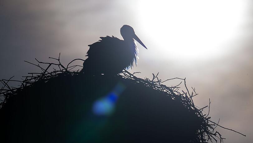 Laut Deutschem Wetterdienst soll es in Bayern am Sonntag und auch zu Wochenbeginn mit fr&uuml;hlingshaftem Wetter weitergehen.