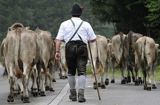 Frage 7: Wer war Owi?
