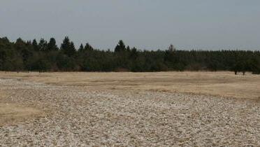 Offene Kiesflächen am Rand der Haide. Offene Kiesflächen am Rand der Haide.