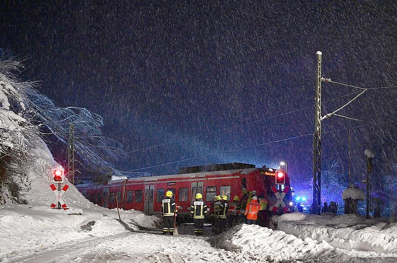 Am Sonntagabend stürzte ein Baum auf einen Zug - die Passagiere hatten Glück im Unglück.