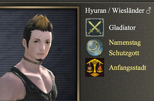 Das Profil des mutmaßlichen Mörders von Katrin Michalk beim Computer-Rollenspiel "Final Fantasy": Stark, geschickt und intelligent - so wäre der 19-Jährige wohl auch im richtigen Leben gerne gewesen.