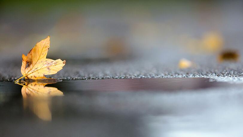 Noch hält sich die herbstliche Zweiteilung beim Wetter in Deutschland. (Archivbild)