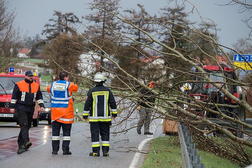 In Niederbayern ragten diese Bäume auf die Straße.