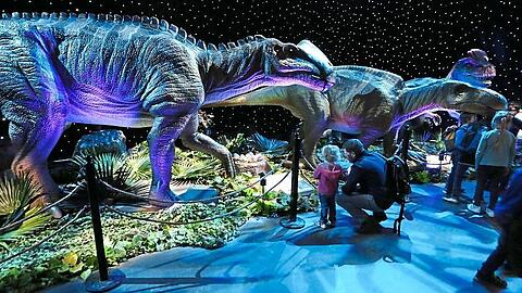 Dinosaurier lebten bis vor etwa 65 Millionen Jahren auf der Erde.