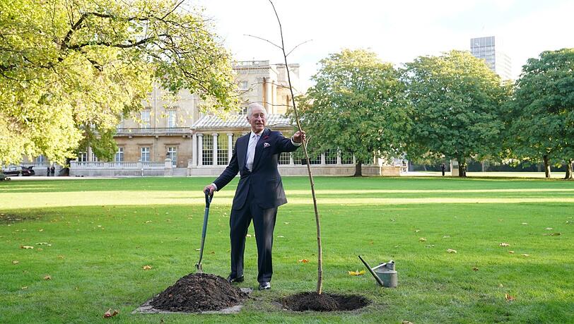 Natur und Umweltschutz liegen ihm am Herzen: Hier pflanzt König Charles eine Linde in der Nähe des Teehauses im Garten vom Buckingham Palast. Natur und Umweltschutz liegen ihm am Herzen: Hier pflanzt König Charles eine Linde in der Nähe des Teehauses im Garten vom Buckingham Palast.