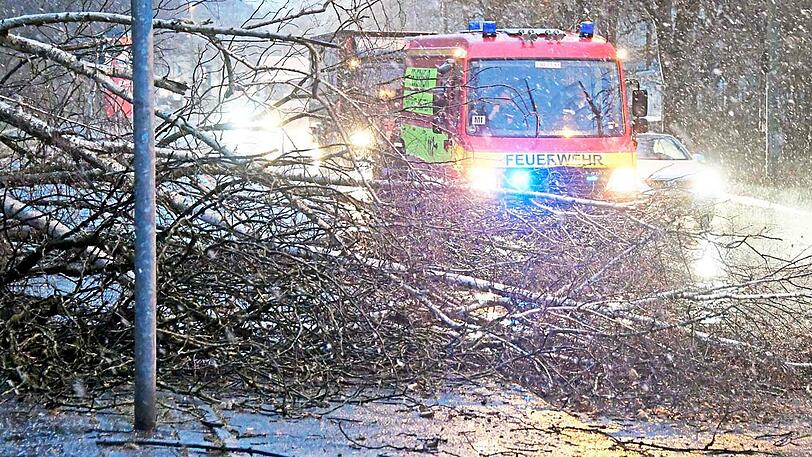 Auf der Rosenheimer Straße kurz vor der Auffahrt auf die A8 stürzten mehrere Bäume auf die Fahrbahn. Die Freiwillige Feuerwehr aus Perlach beseitigte die Hindernisse.