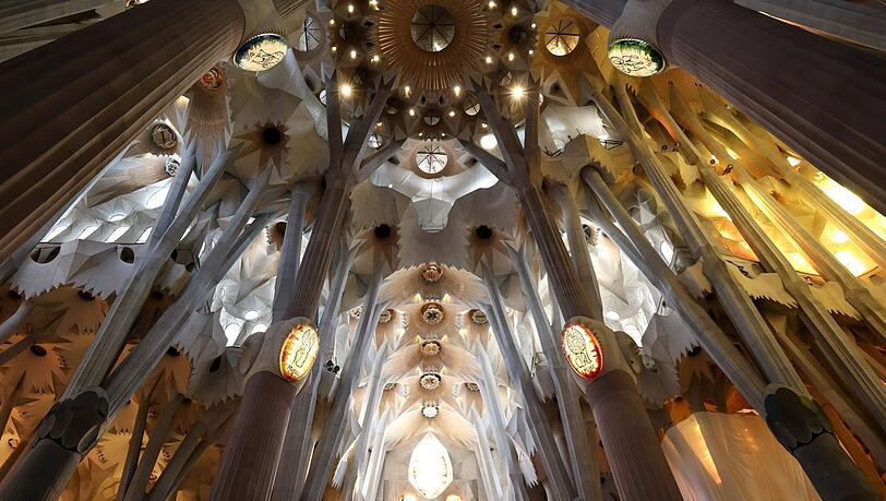 Der Wald aus angeschr&auml;gten S&auml;ulen in der Sagrada Fam&iacute;lia.