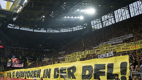 Dortmunds Fans protestieren mit einem Banner gegen Investoren in der DFL.