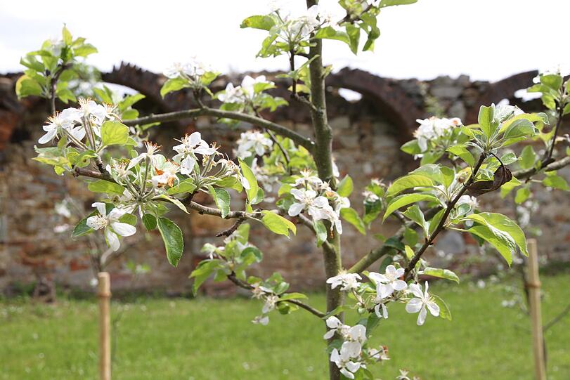 Uschi Dämmrich von Luttitz hat das Kloster Waldsassen besucht.