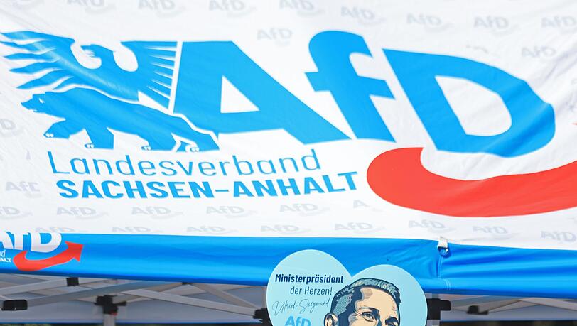In Sachsen-Anhalt wird am 6. September ein neuer Landtag gew&auml;hlt. (Archivbild)