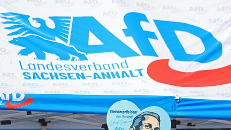 In Sachsen-Anhalt wird am 6. September ein neuer Landtag gew&auml;hlt. (Archivbild)