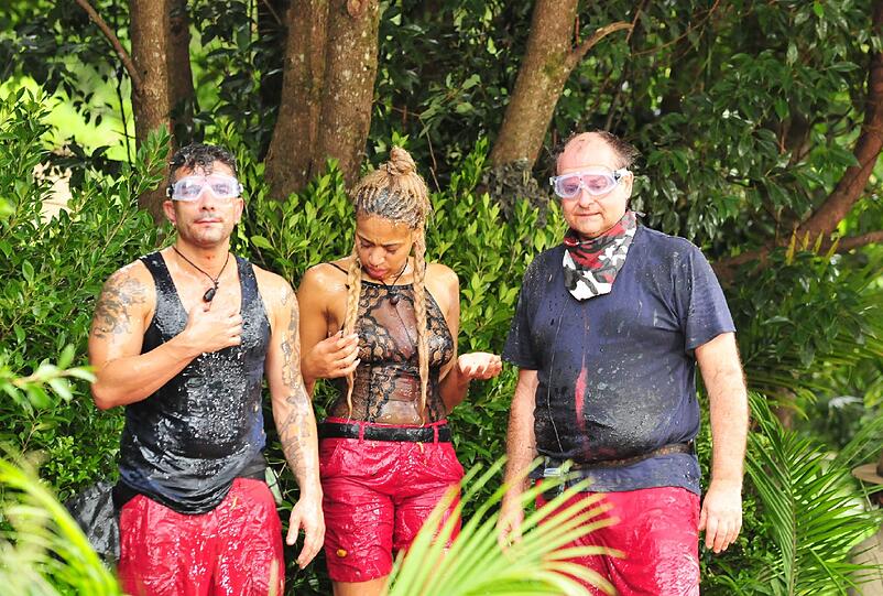 Marc Terenzi, Sarah Joelle Jahnel und Markus Majowski gewinnen die Dschungelprüfung an Tag vier