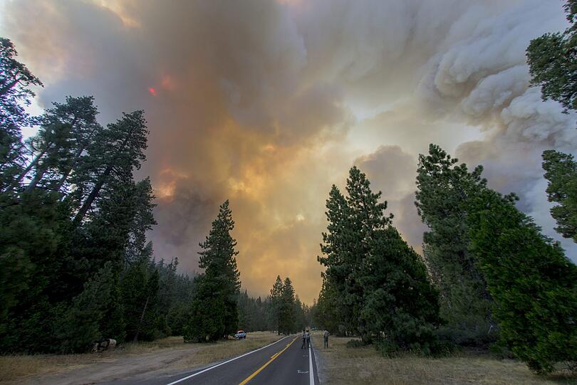 In San Francisco wütet momentan der schwerste Waldbrand der Geschichte Kaliforniens.