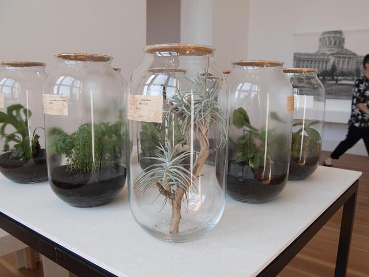 Blick auf die Installation des Künstlers Libby Harward.