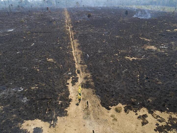 Eine verbrannte Fläche in Brasilien wo immer mehr Regenwald verschwindet.