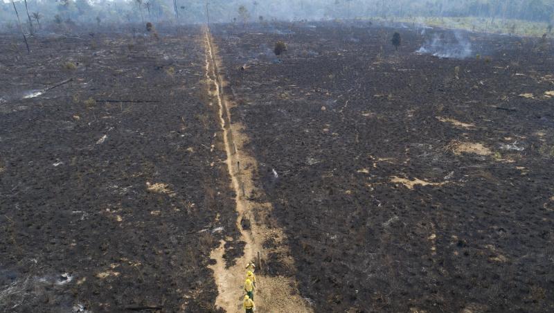 Eine verbrannte Fläche in Brasilien wo immer mehr Regenwald verschwindet.