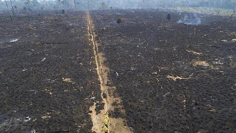 Eine verbrannte Fläche in Brasilien wo immer mehr Regenwald verschwindet.