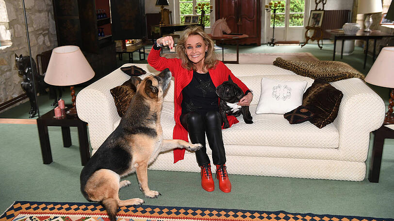 Ganz alleine ist sie nie: Hella Brice in ihrem Haus in Sery Magneval mit Schäferhund Princesse und Frenchie Arthur.