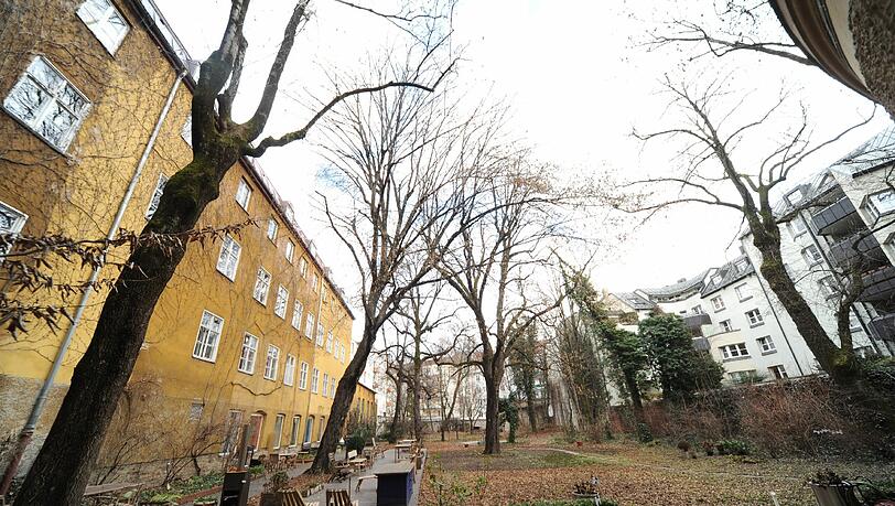 So schaut’s derzeit aus im Radspeilergarten: die Fläche ab dem Brunnen wird schon bald zur Großbaustelle. So schaut’s derzeit aus im Radspeilergarten: die Fläche ab dem Brunnen wird schon bald zur Großbaustelle.