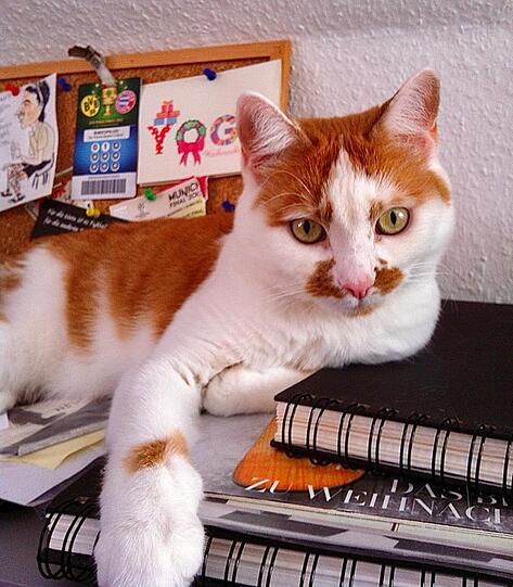 Sissi