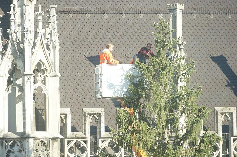 Der Christbaum am Münchner Marienplatz.