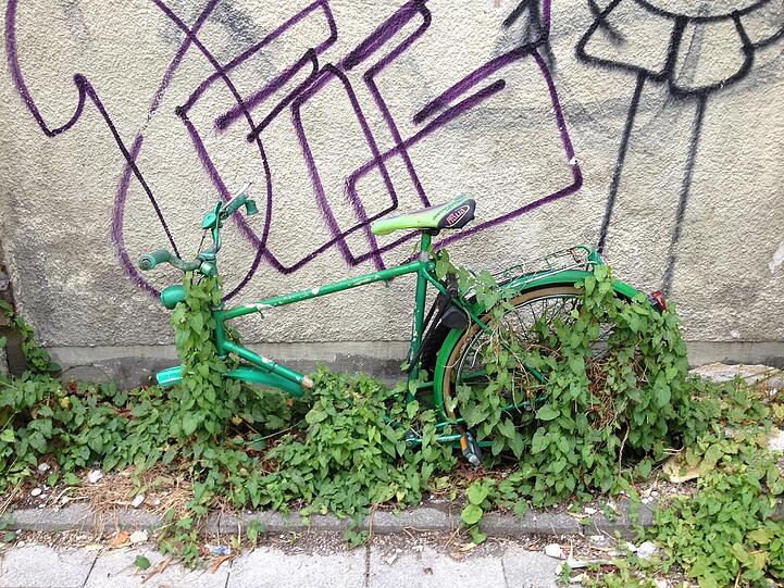 Graffiti, Ranke, Fahhrad - eine ungewöhnliche Komposition.