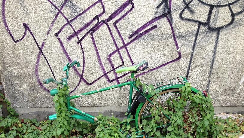 Graffiti, Ranke, Fahhrad - eine ungewöhnliche Komposition. Graffiti, Ranke, Fahhrad - eine ungewöhnliche Komposition.