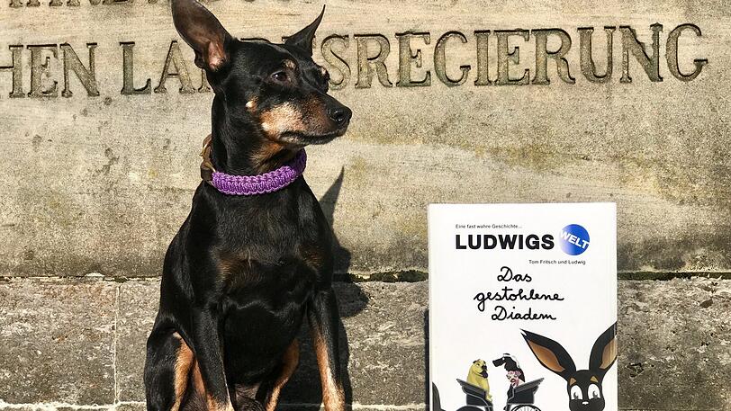 Ludwig ist ein Selfmade-Dog.