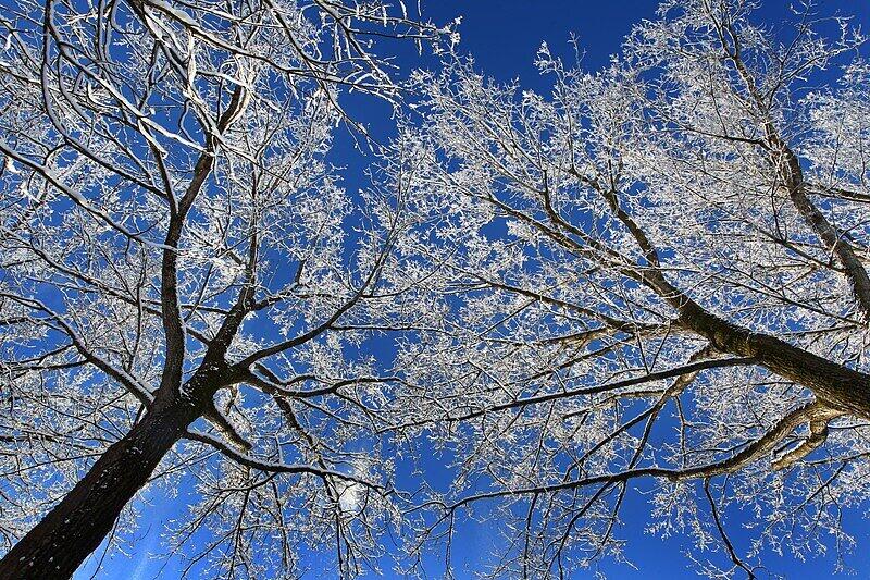 Traumhaftes Winterwettter in den Alpen: Die Bilder!