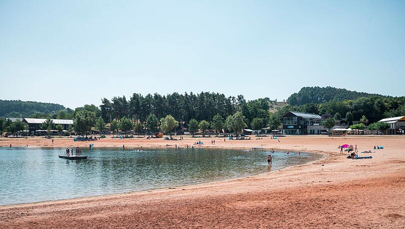 Erneut greift ein Wels einen Schwimmer in der Region an. (Symbolbild)