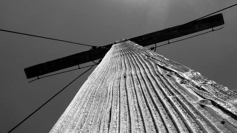Vertikal: beeindruckende Holzstruktur am Birnhorn (2.634 Meter) in den Leoganger Steinbergen in Tirol.