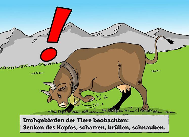 Zum Durchklicken: die Tipps aus dem Folder "Eine Alm ist kein Streichelzoo" der Tiroler Landwirtschaftskammer.