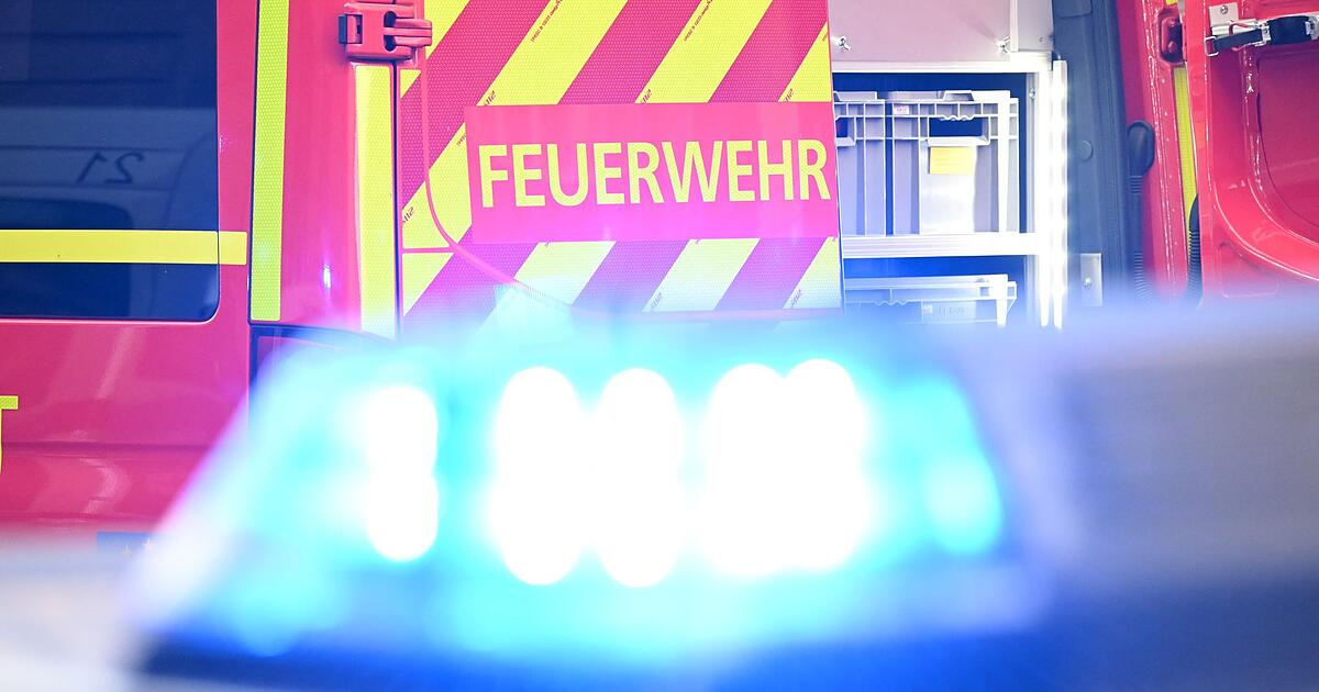 Senior-landet-mit-Auto-in-Wintergarten