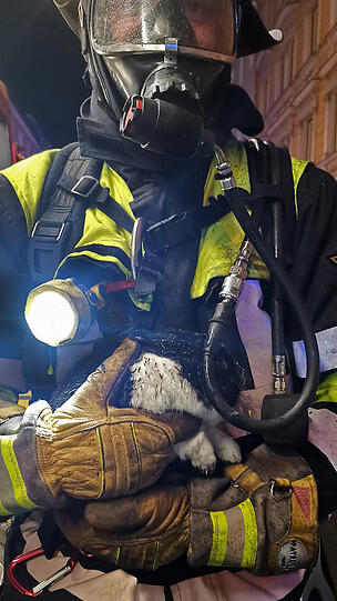 Die Feuerwehr rettete auch ein Kaninchen aus der Brandwohnung.