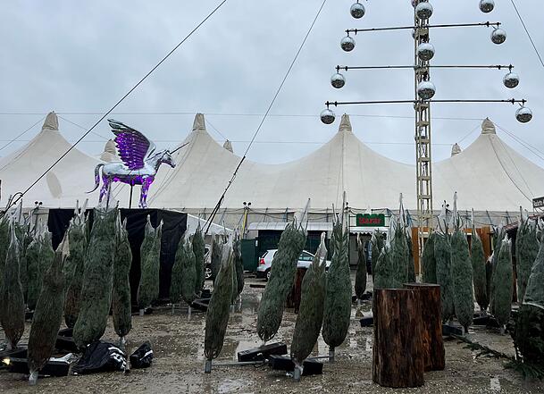 Am vergangenen Montag war noch einiges zu tun auf dem Tollwood-Gelände. Die Christkbäume waren noch in Netze verpackt.