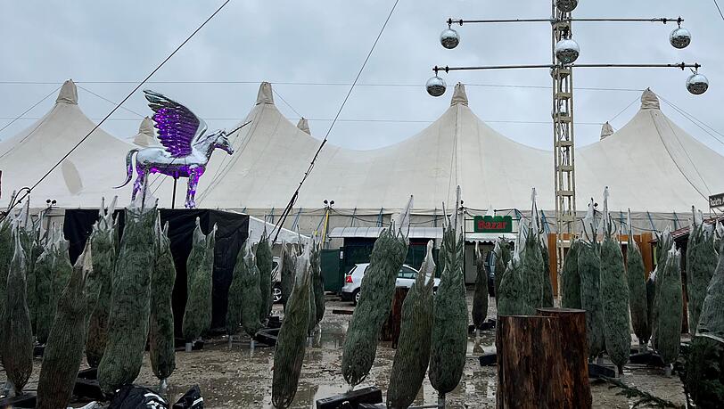 Am vergangenen Montag war noch einiges zu tun auf dem Tollwood-Gelände. Die Christkbäume waren noch in Netze verpackt. Am vergangenen Montag war noch einiges zu tun auf dem Tollwood-Gelände. Die Christkbäume waren noch in Netze verpackt.