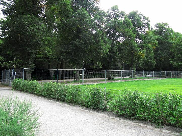 Noch stehen ein paar Bauzäune, bis Mitte September werden auch die letzten Arbeiten fertig sein.