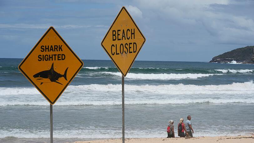 Innerhalb von nur wenigen Tagen wurden aus dem australischen Bundesstaat New South Wales vier Haiangriffe gemeldet. (Symbolbild) Innerhalb von nur wenigen Tagen wurden aus dem australischen Bundesstaat New South Wales vier Haiangriffe gemeldet. (Symbolbild)