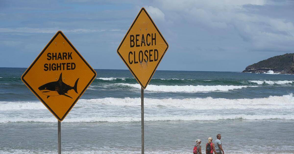 Zw-lfj-hriger-stirbt-Tage-nach-Haiattacke-in-Australien