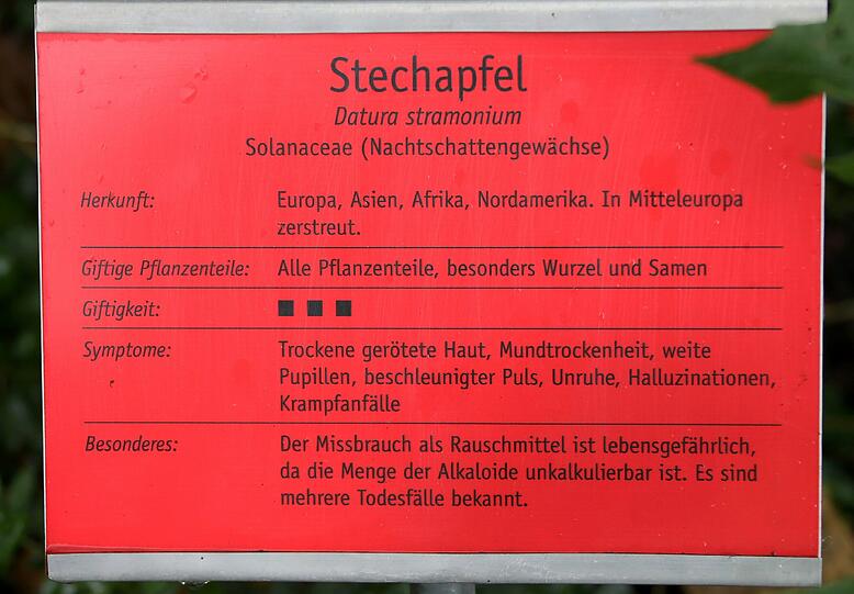 Auflösung siehe Tafel