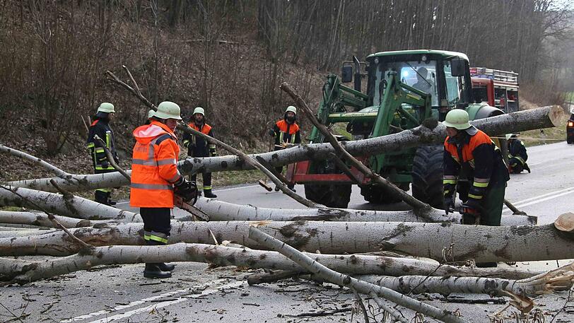 Auf der B12  am Bürger Berg lagen zwei Buchen quer zur Fahrbahn und machten ein Durchkommen für den Straßenverkehr unmöglich.