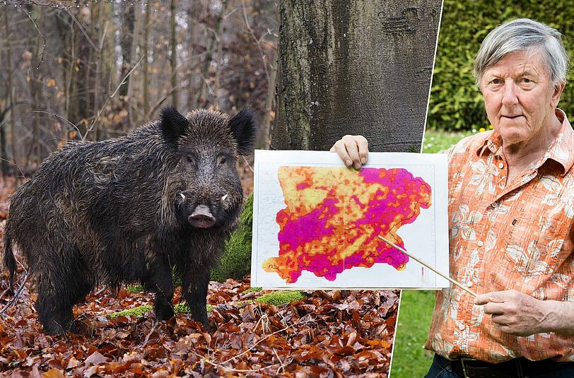 Helmut Rummel mit einer Karte von gemessener Radioaktivität in Bayern. Wildschweine nehmen bei ihrer Nahrungssuche besonders viel dieser Radioaktivität auf.