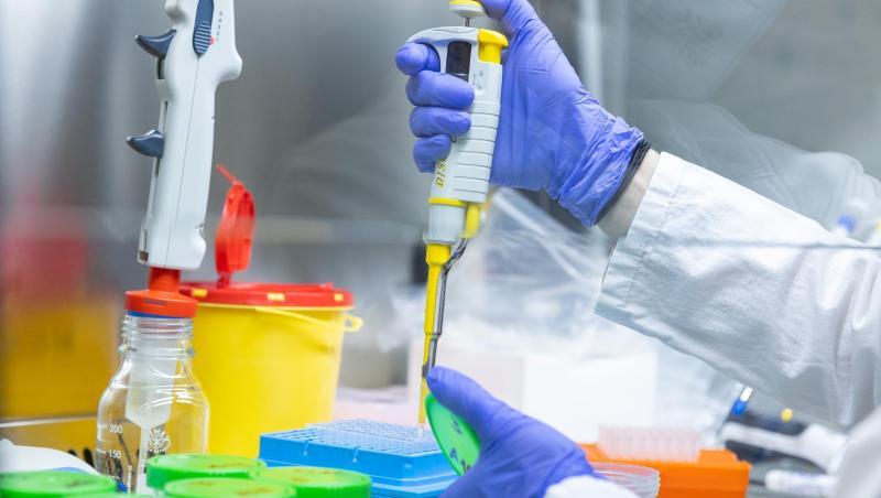 Ein Labormitarbeiterin beim IT-Dienstleister Datev eG analysiert in einem Labor Gurgeltests aus einer Schule. (Archivbild). Ein Labormitarbeiterin beim IT-Dienstleister Datev eG analysiert in einem Labor Gurgeltests aus einer Schule. (Archivbild).