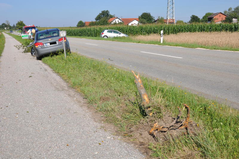 Auf dem gegenüberliegenden Grünstreifen würde der Fahrer von drei Jungbäumen gebremst.