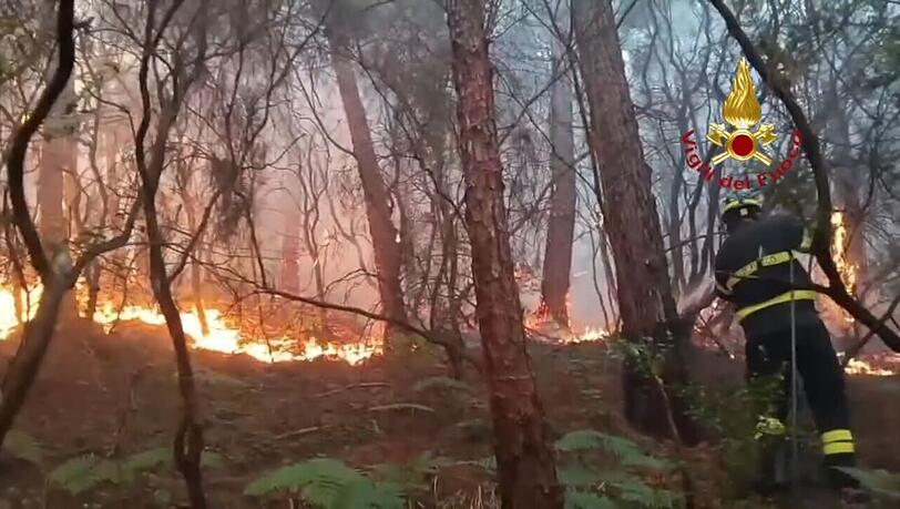 Wegen des Waldbrands mussten mehr als 3.500 Menschen ihre H&auml;user verlassen.