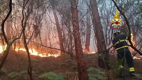 Wegen des Waldbrands mussten mehr als 3.500 Menschen ihre H&auml;user verlassen.